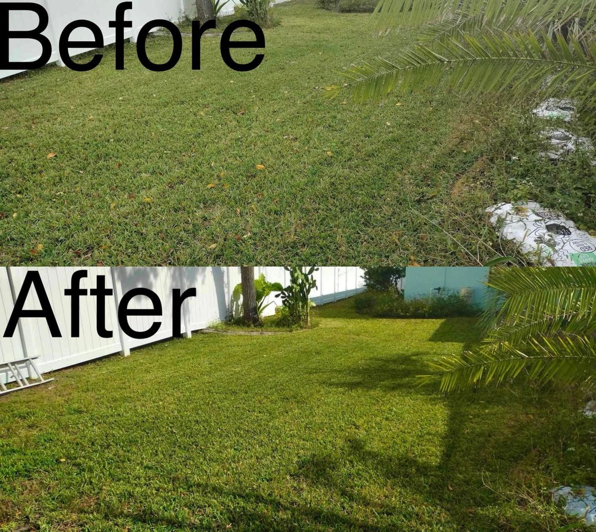 Fall Clean Up for Right Choice Lawn Care in Brooksville, FL