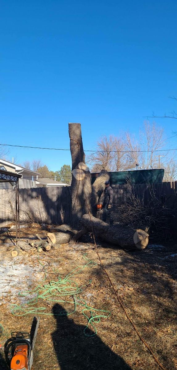 Tree Removal for SMH Tree Service in Atwood, KS