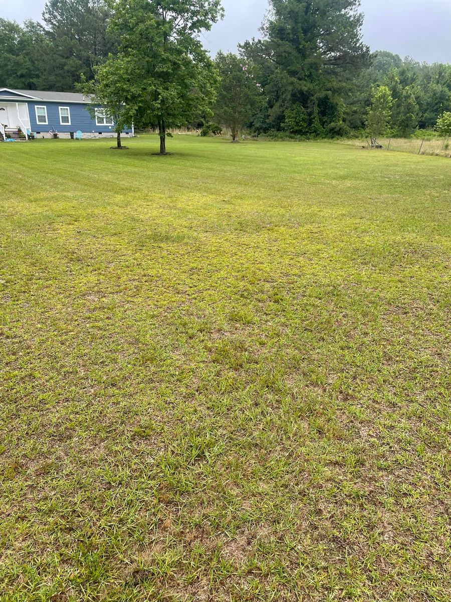 Lawn Aeration for Sparks Landscaping in Augusta, GA
