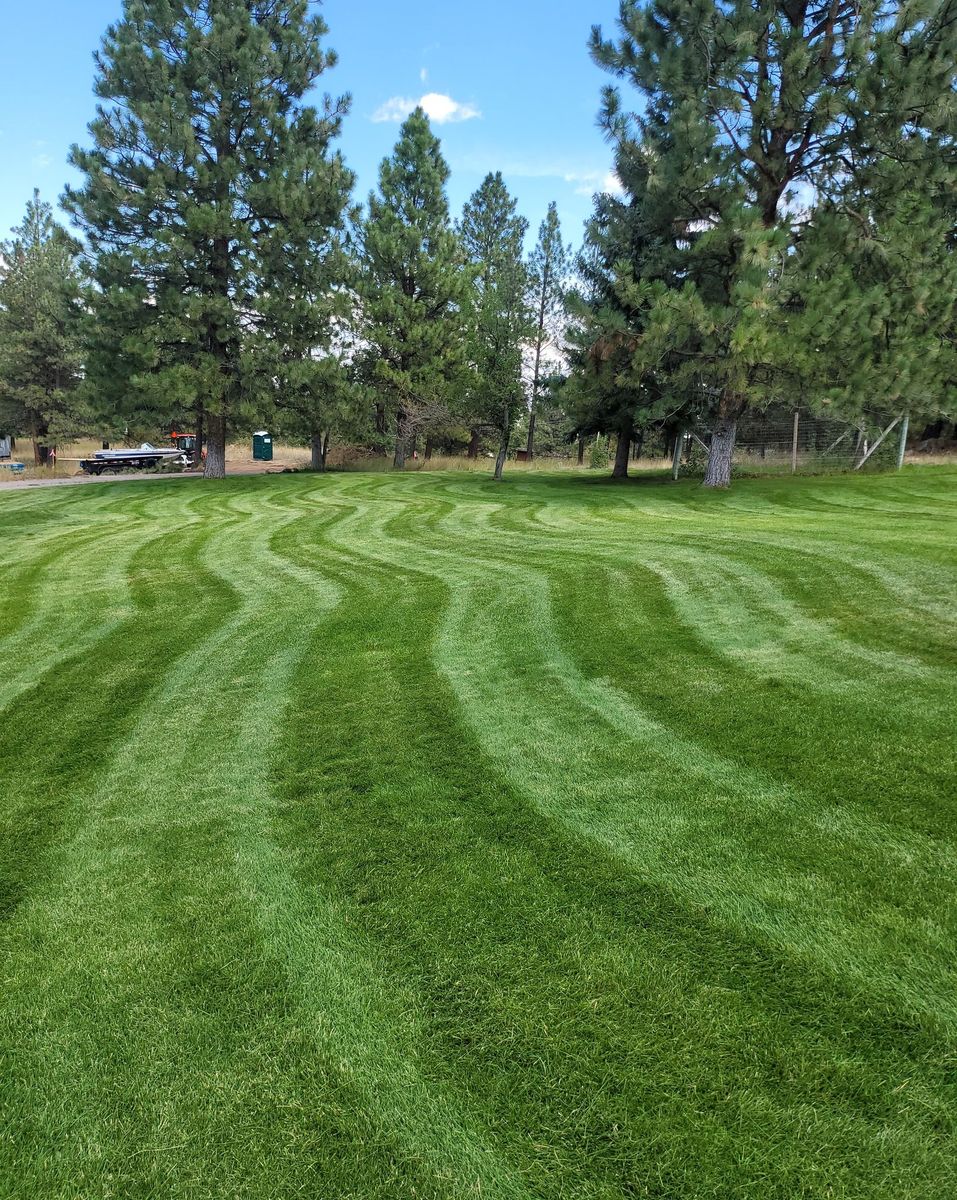 Lawn Care for Yeti Snow and Lawn Services in Helena, Montana