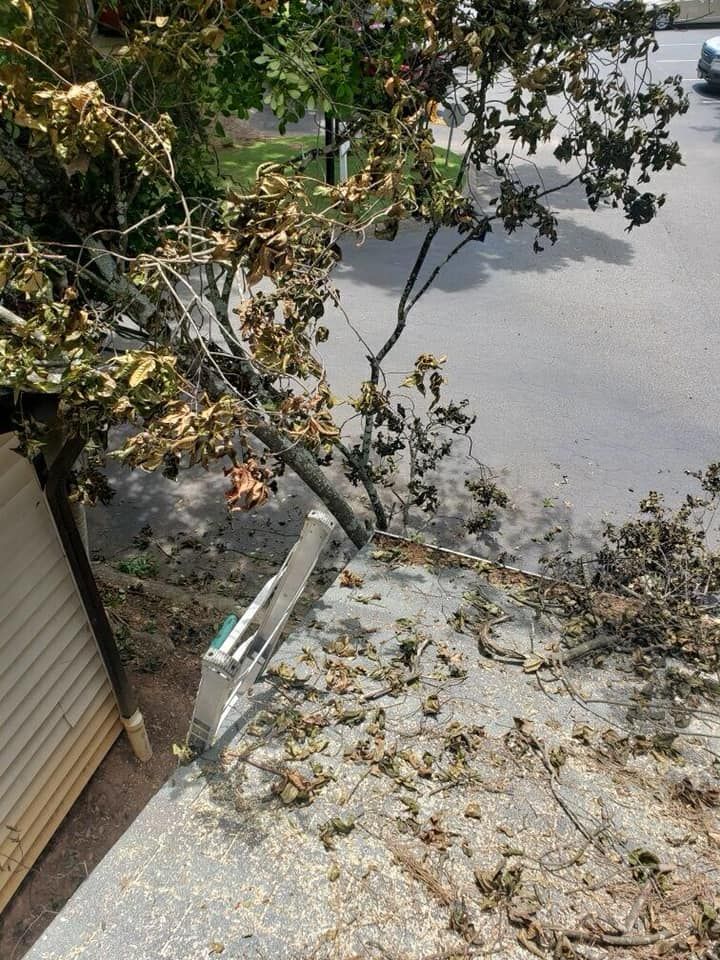 Tree Service for Southern RustiQ Restoration in Atlanta, GA