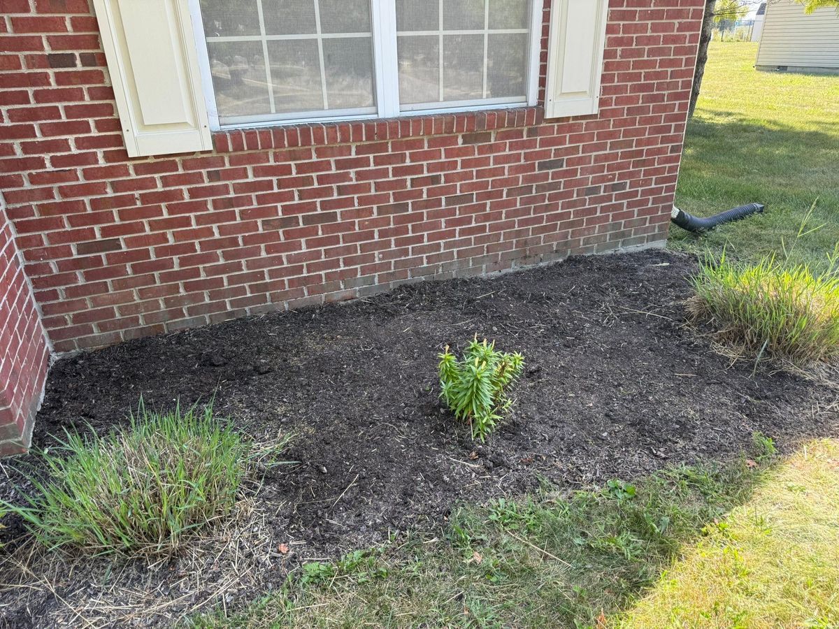 Landscaping for Bearforce Lawn Care LLC in Greenfield, IN