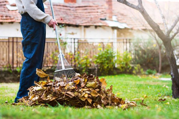 Fall Clean Up for Sunshine's Dreamscapes in Greer, SC