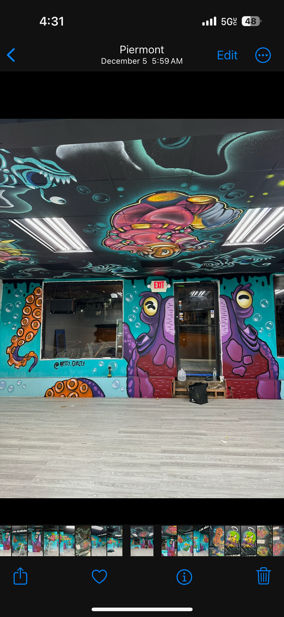 Commercial Murals for ANAEME in New York, NY
