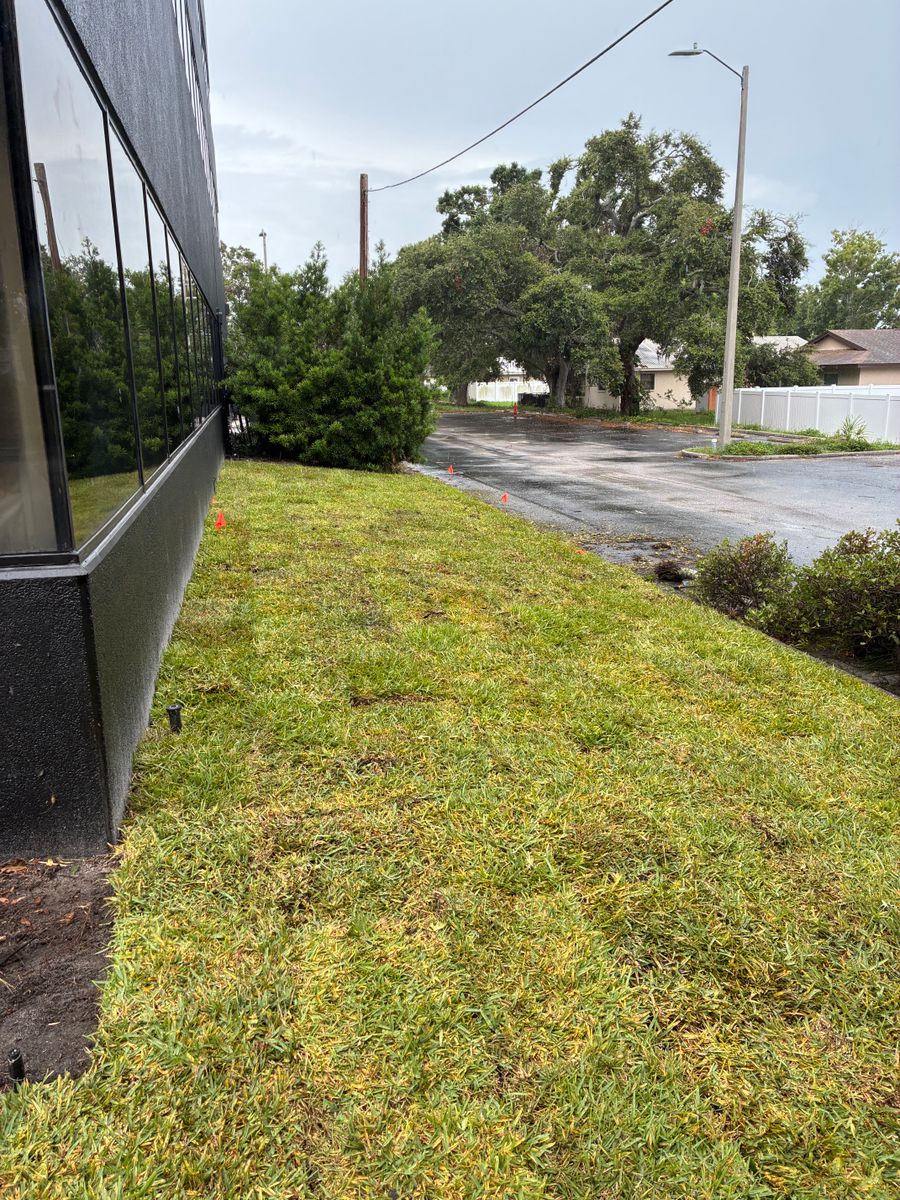 Sod Installation for Gulf Bay Sod in Clearwater, FL