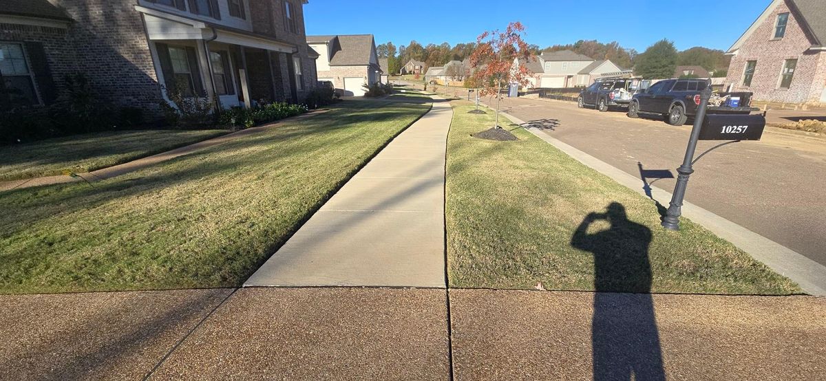 Landscaping for Sanchez Z. Landscaping in Memphis, TN