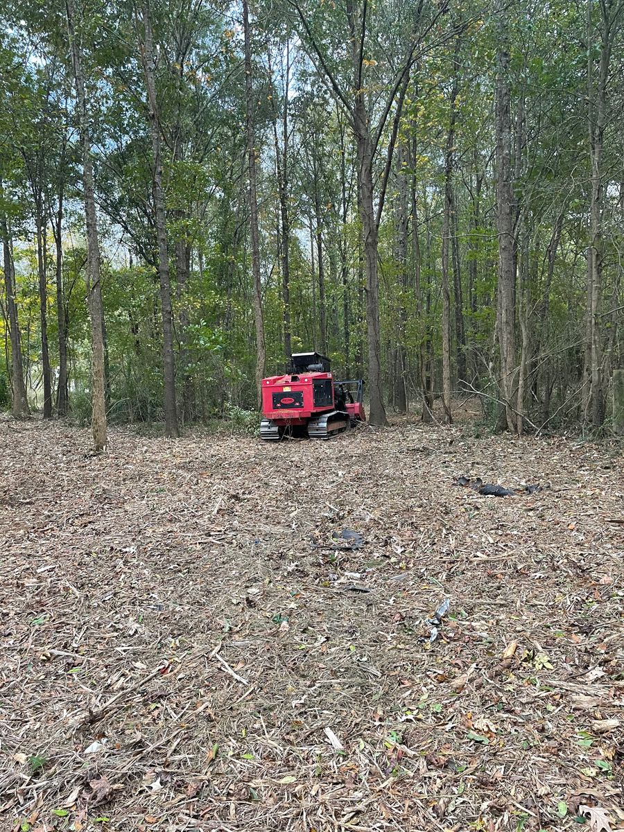 Forestry Mulching for Double J Excavation in Nashville, AR