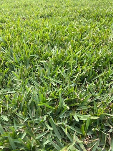 Sod Install for C4 Ground Control in Orlando, FL