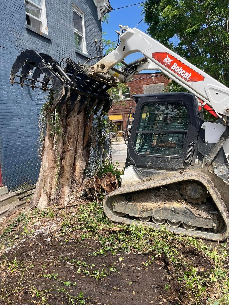 Stump Grinding & Removal for Patterson Excavation in Dry Ridge, KY