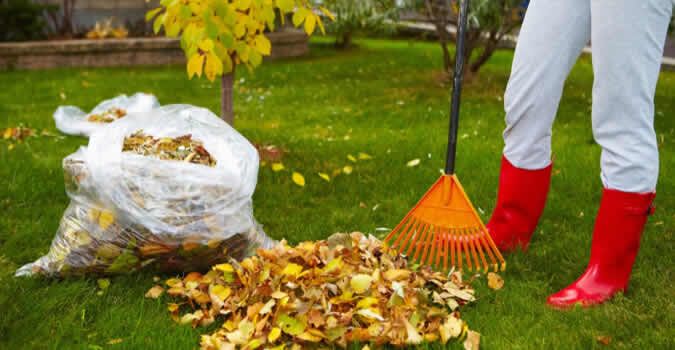 Spring Clean-Up Services for New Beginning Landscape & Remodel LLC in Atlanta, GA
