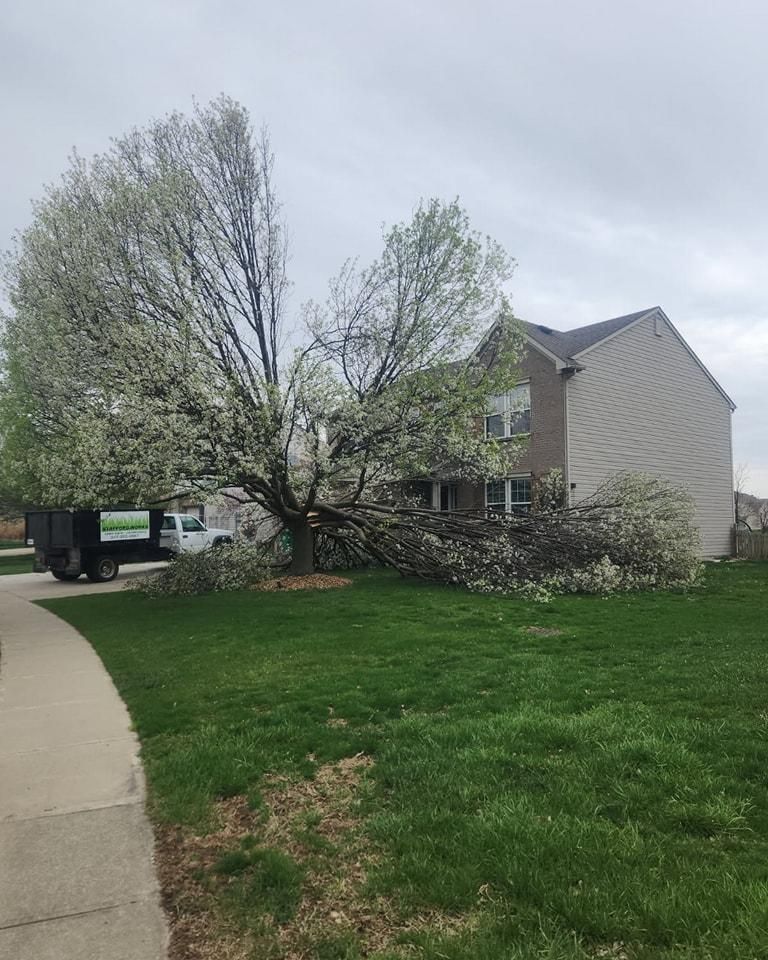 Shrub Trimming for Stafford.Works in Hendricks County, IN 