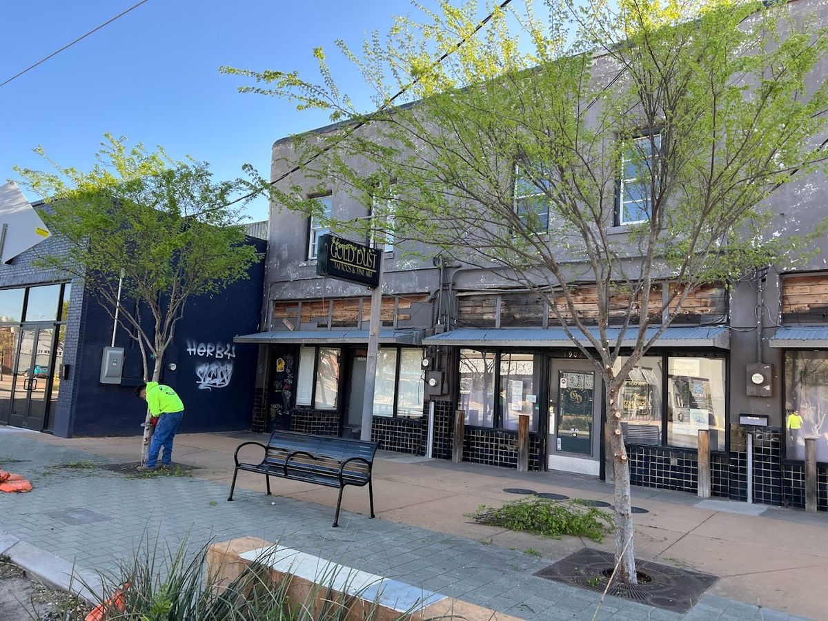 Tree Trimming for Imber’s Tree Service LLC in Arlington, TX