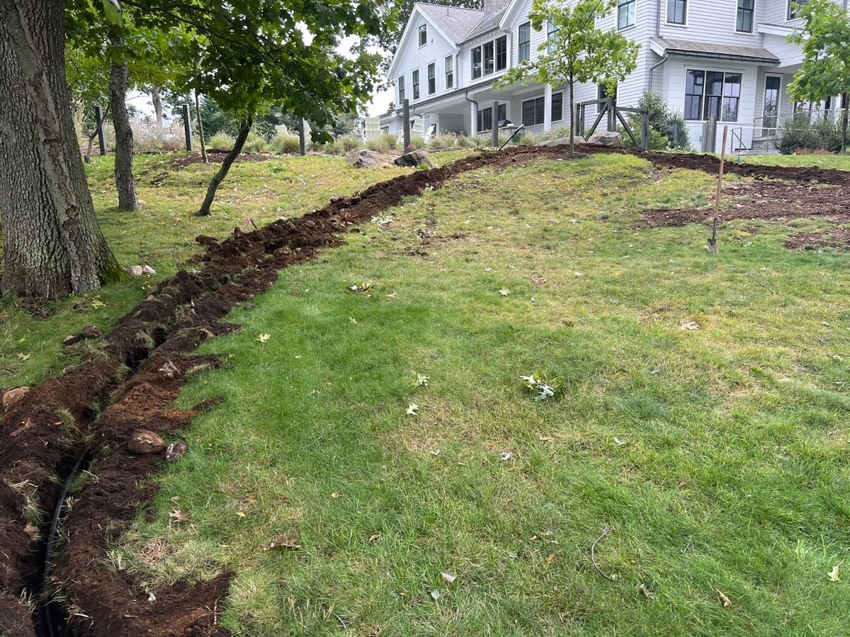 Irrigation System Maintenance for Freddy’s Irrigation in Plano, TX