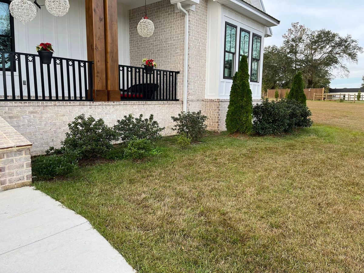 Shrub Trimming for Cut Above Lawn Service in Daphne, AL