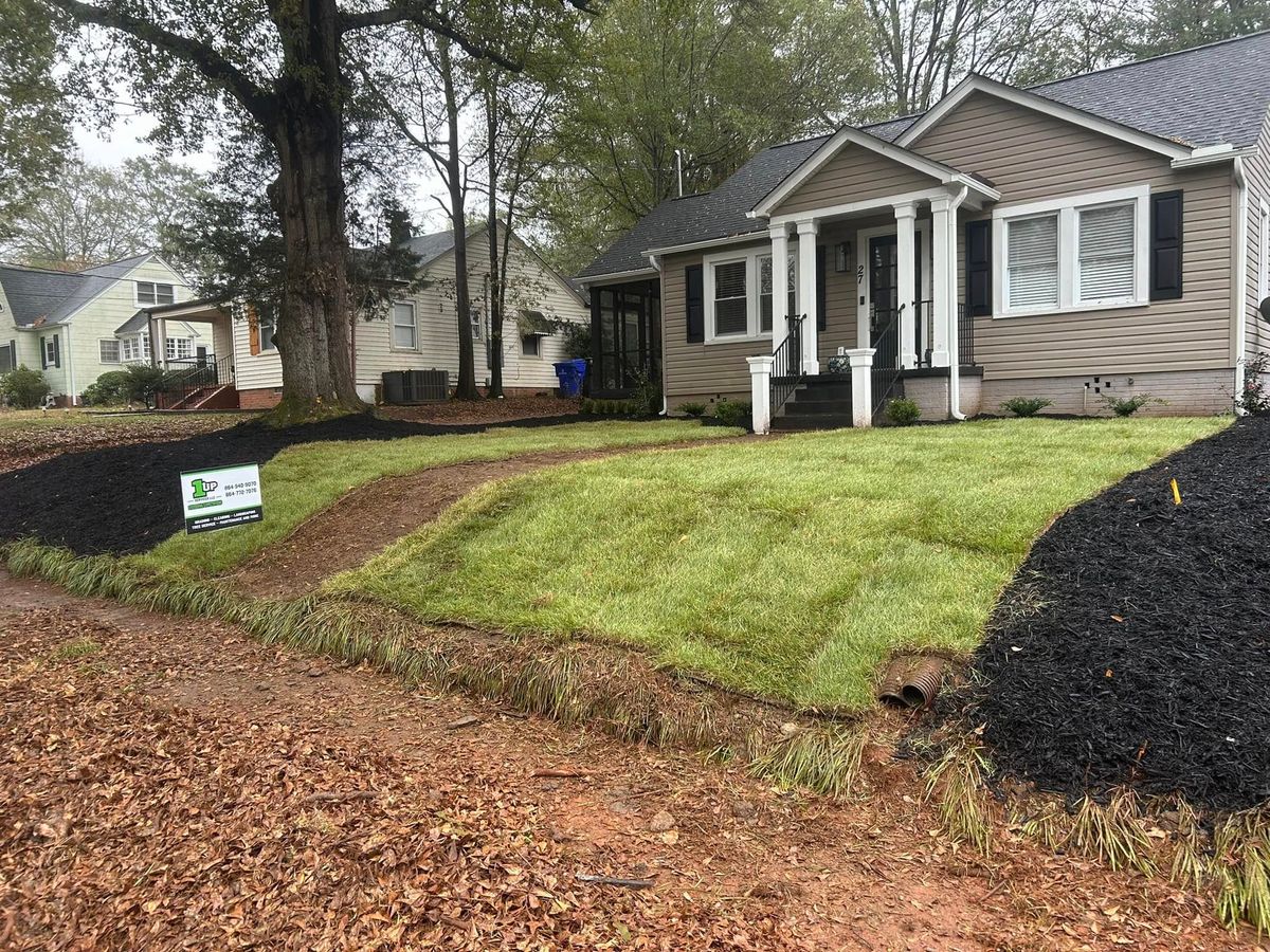 Landscaping for 1UP Services LLC in Starr, SC