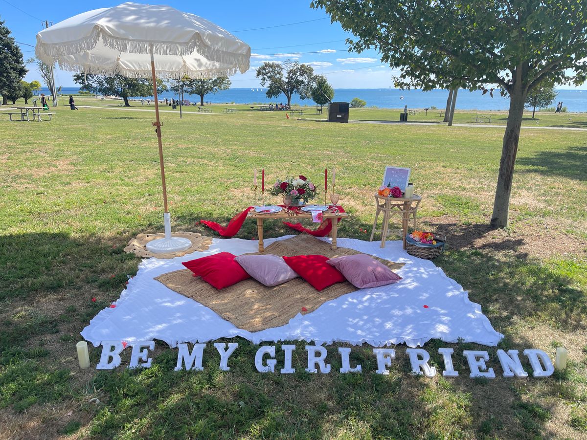 ROMANTIC PICNIC PACKAGE FOR TWO for Pink Tree Picnic in Hartford, CT
