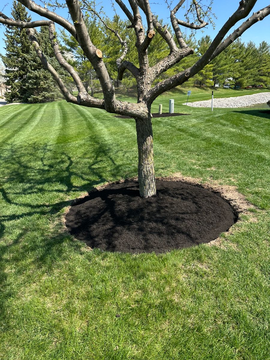 Mulch Installation for OT Lawn and Landscaping LLC in Carey, OH