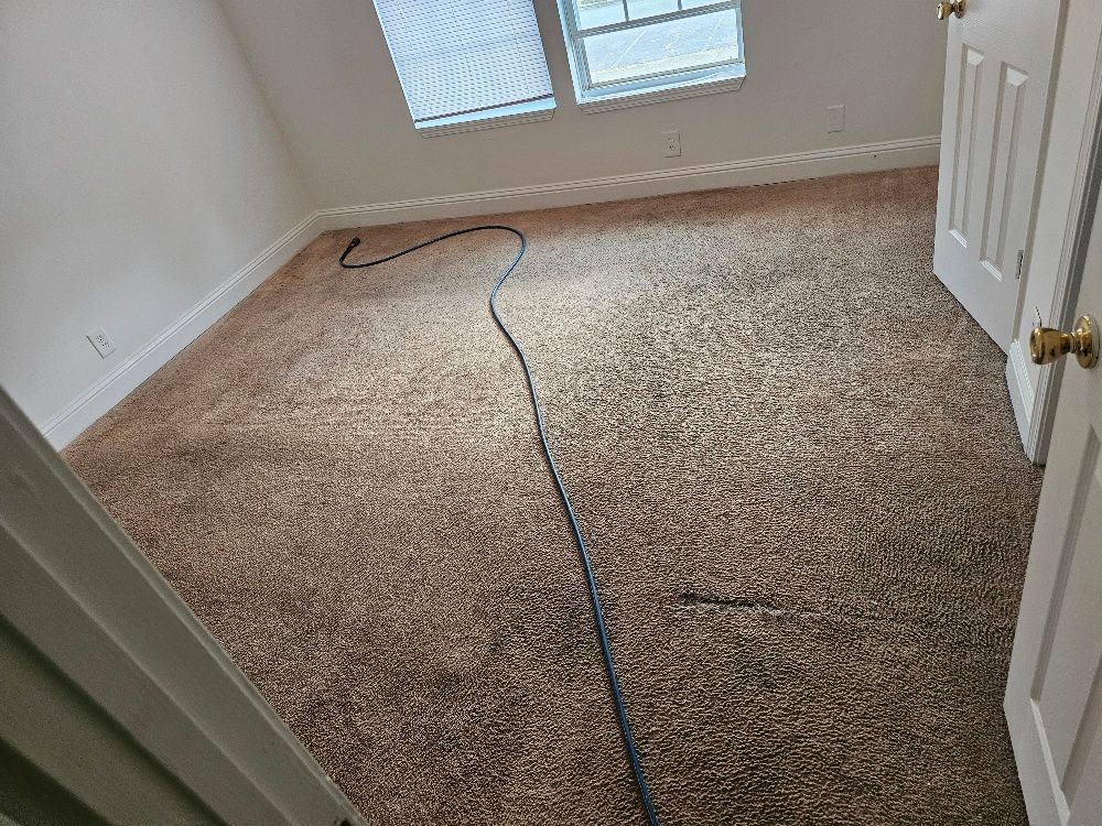 Carpet Cleaning for Brown’s Multi - Service in Macon, Gerogia