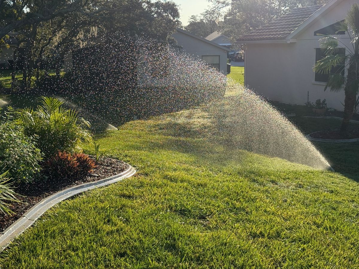 Drip Irrigation Installation and Maintenance for Pavone Irrigation in Spring Hill, FL