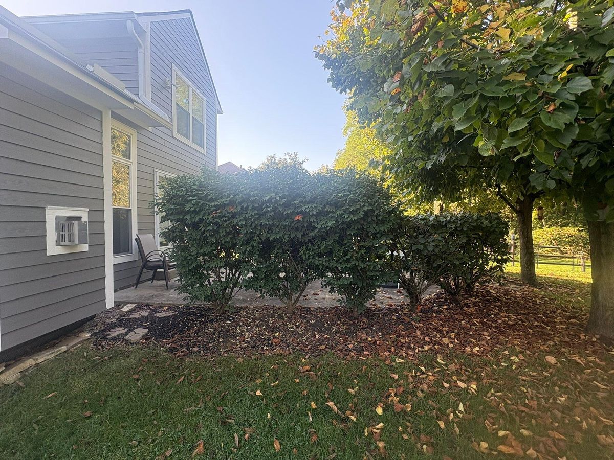 Fall Clean Up for Dig-It Tree Company in Mason, OH