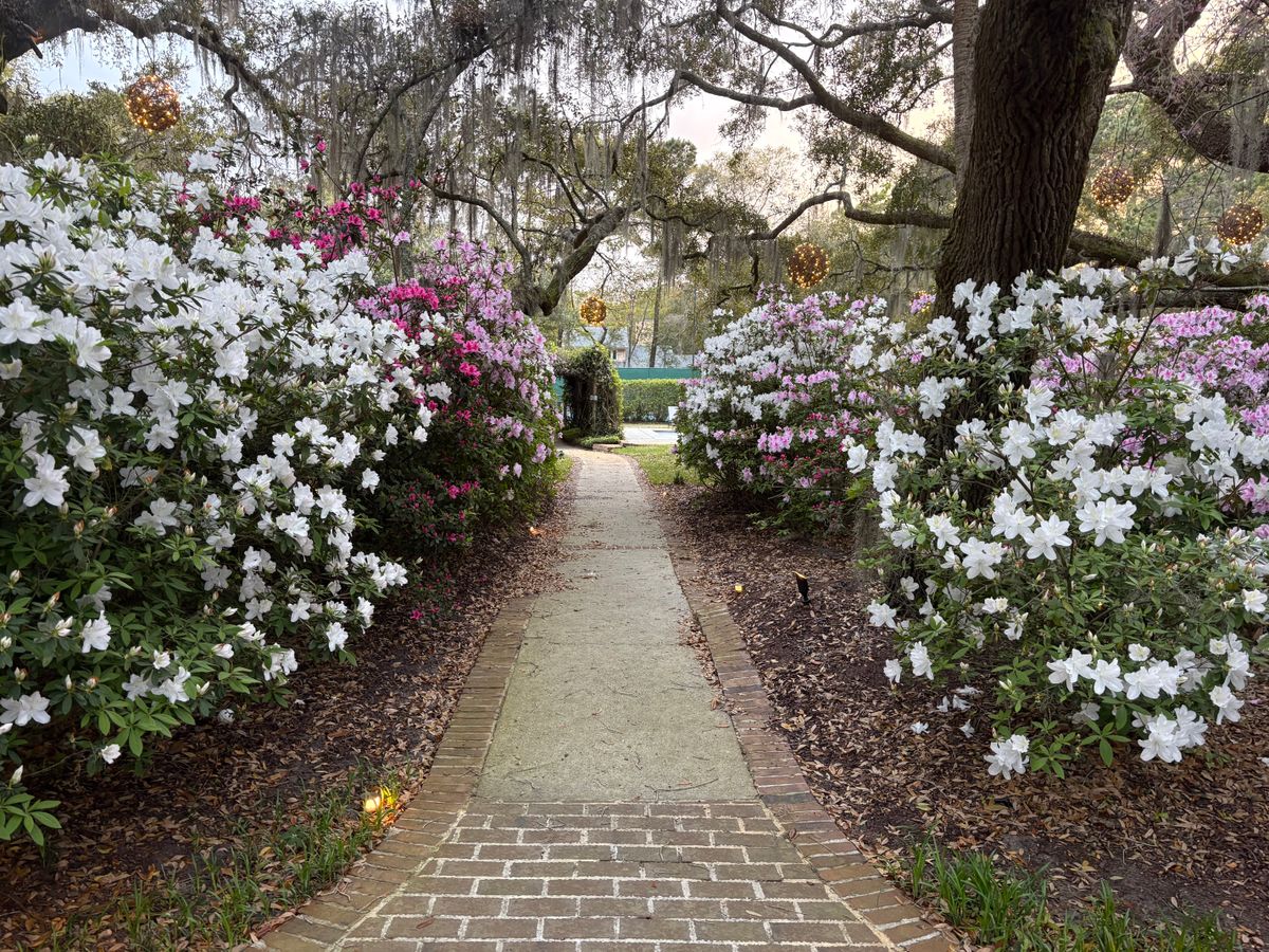 Landscape Lighting Installations for Wheelhouse Irrigation and lighting in Charleston, South Carolina