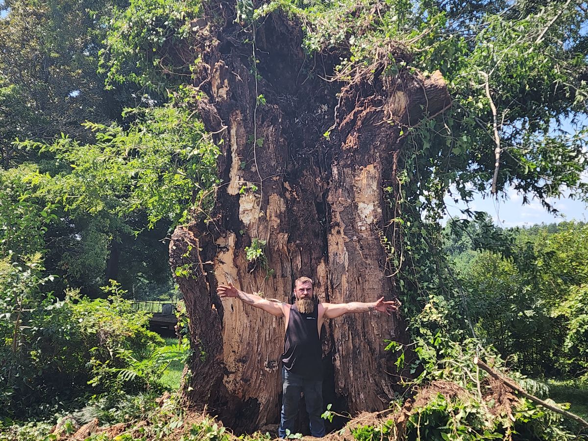 Tree Removal for Owens Tree Services in Inman, SC