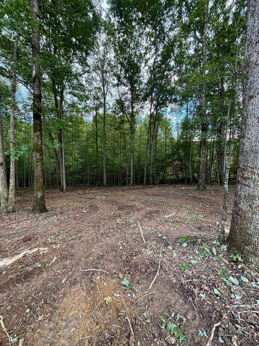 Forestry Mulching for TD Dirtworks in Tracy City, TN