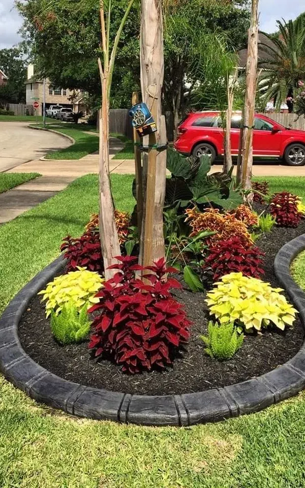 Landscaping for Texas Curb N Borders in Houston, TX