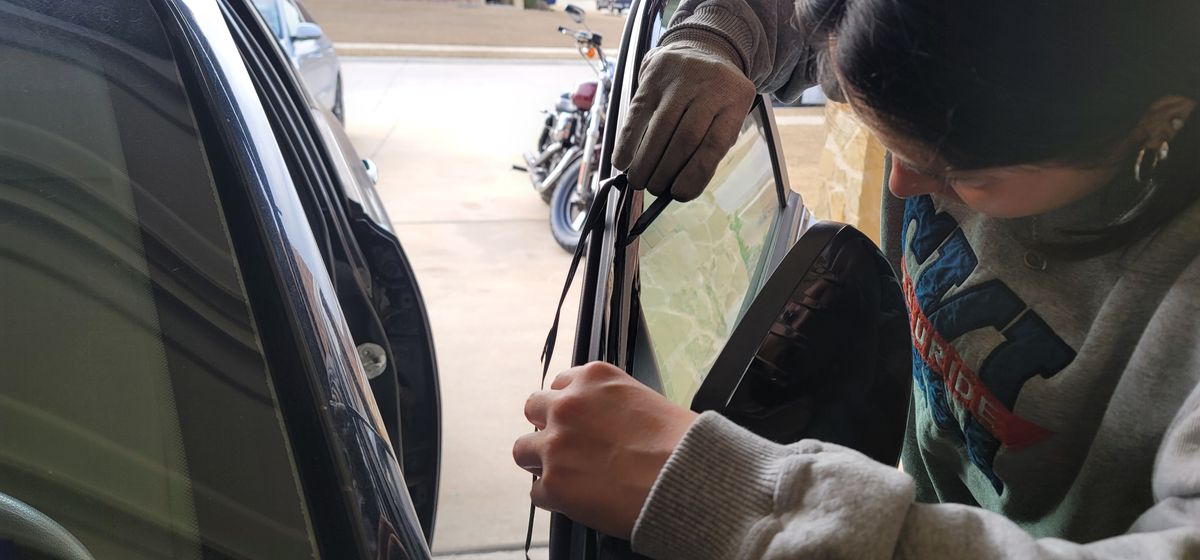 Window Graphics for DB WRAPS in Josephine, TX