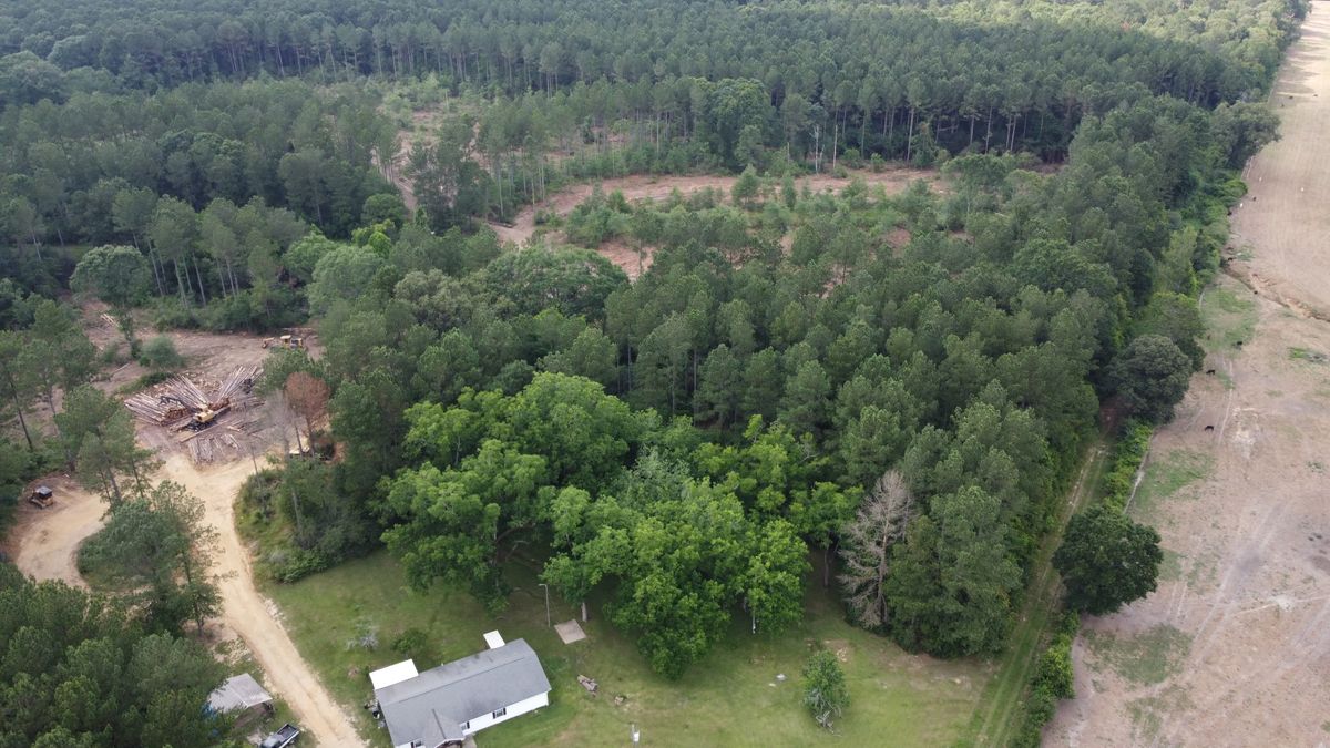 Tree Services for Broadway & McMullen Construction in Hattiesburg, MS