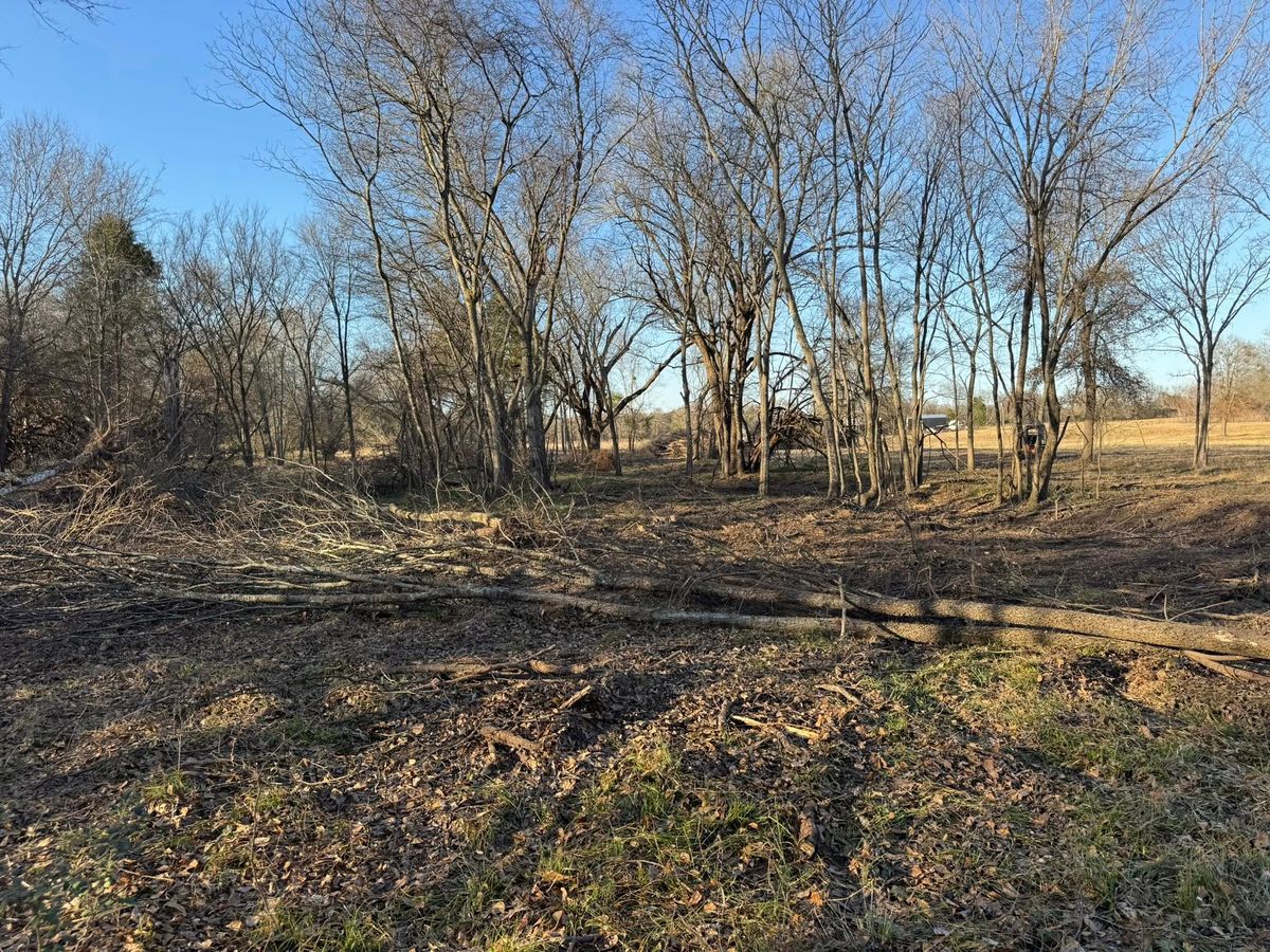 Debris Removal for Superior Land Services in Wills Point, TX