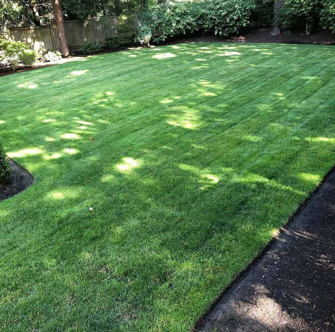 Other Lawn Services for Rs lawn Care llc in Beavertown, OR