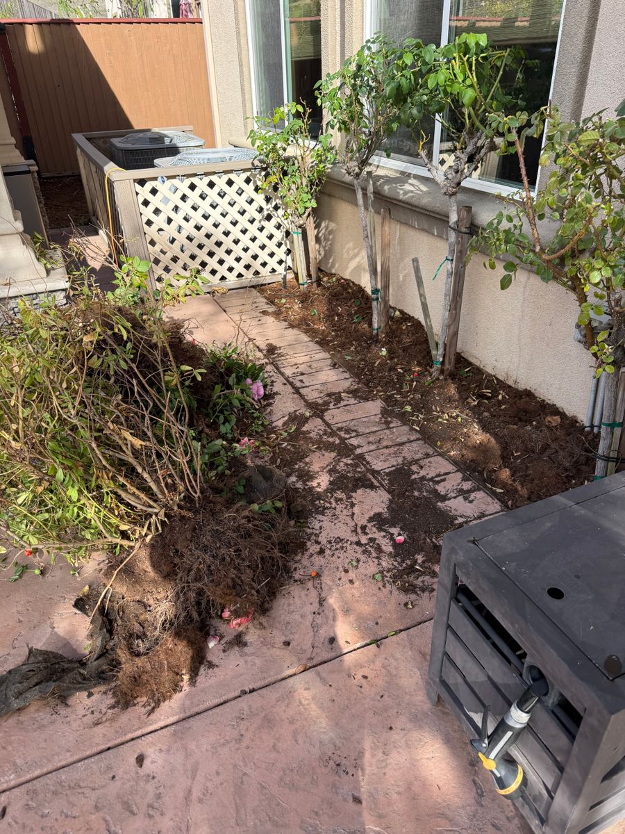 Shrub Trimming for CBA Landscaping in Hayward, CA