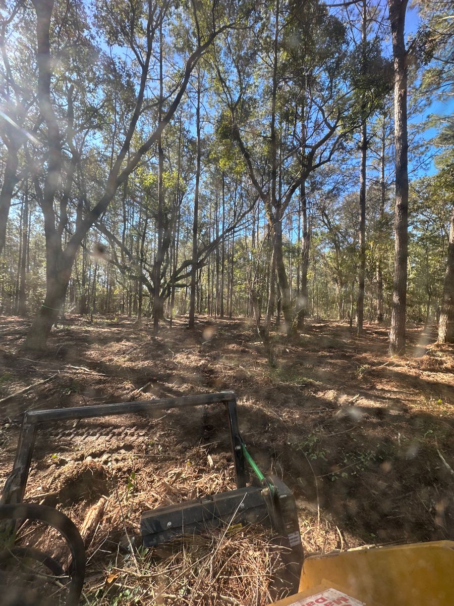 Land Clearing & Demolition for Platinum Construction llc in Pearl River, MS