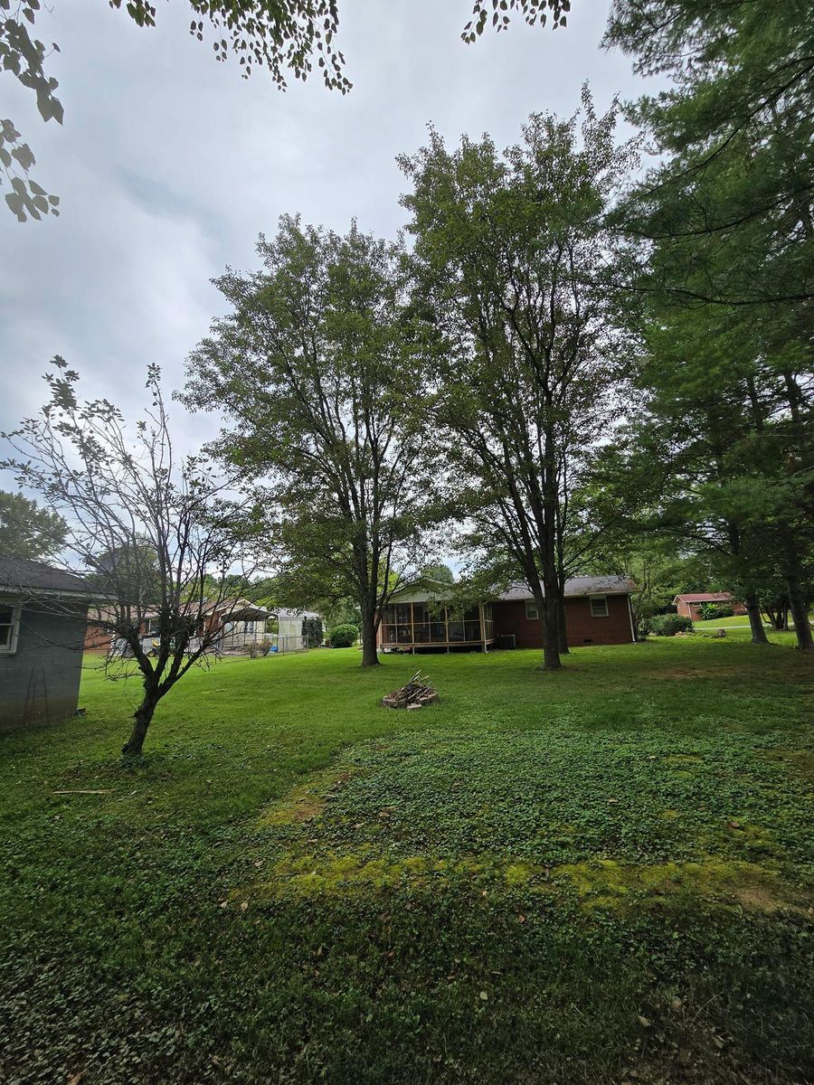 Tree Trimming for M&L Lumber and Excavating in Jonesborough, TN