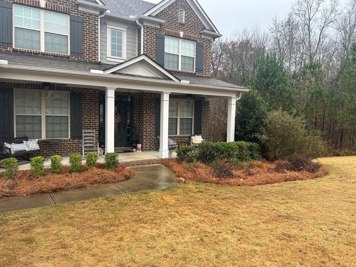 Pinestraw for BAM Another Pinestraw Lot in Flowery Branch, GA