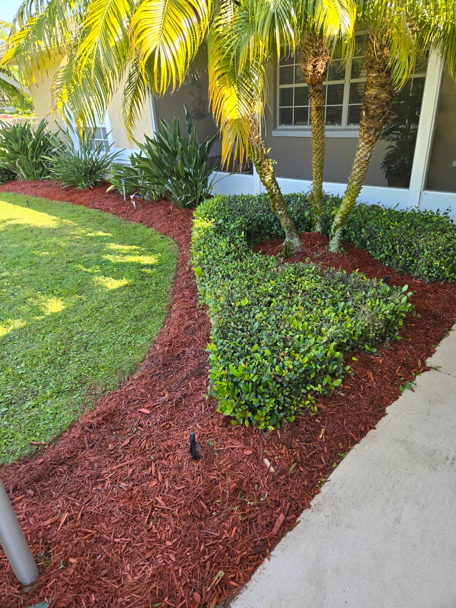Tree and Hedge Care for Above the Lawn Cuts and Pressure Washing in Sebring, FL