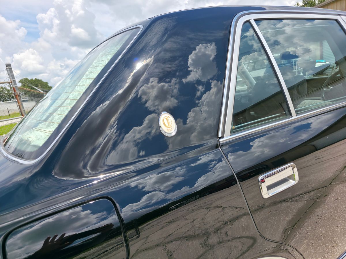 Paint Correction for Michael's Auto Detailing  in Lakeland, FL