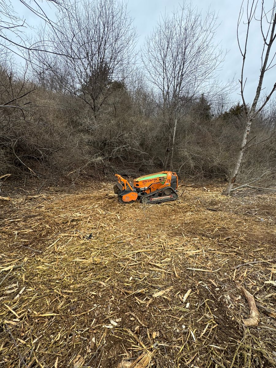 Land Clearing for Mountain Goat Land Management in Galax, VA