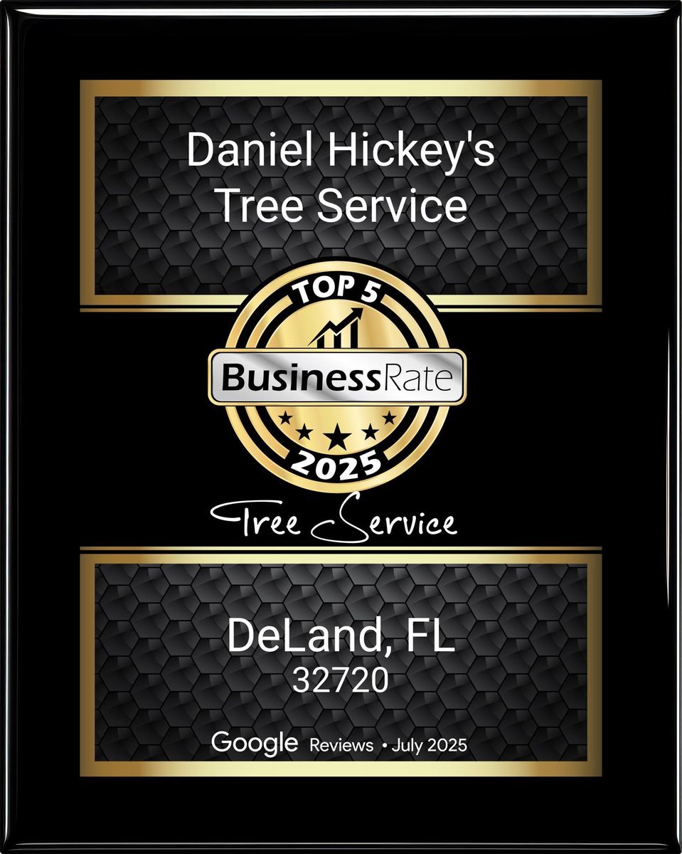Tree Removal for Daniel Hickey’s Tree Service in DeLand, FL