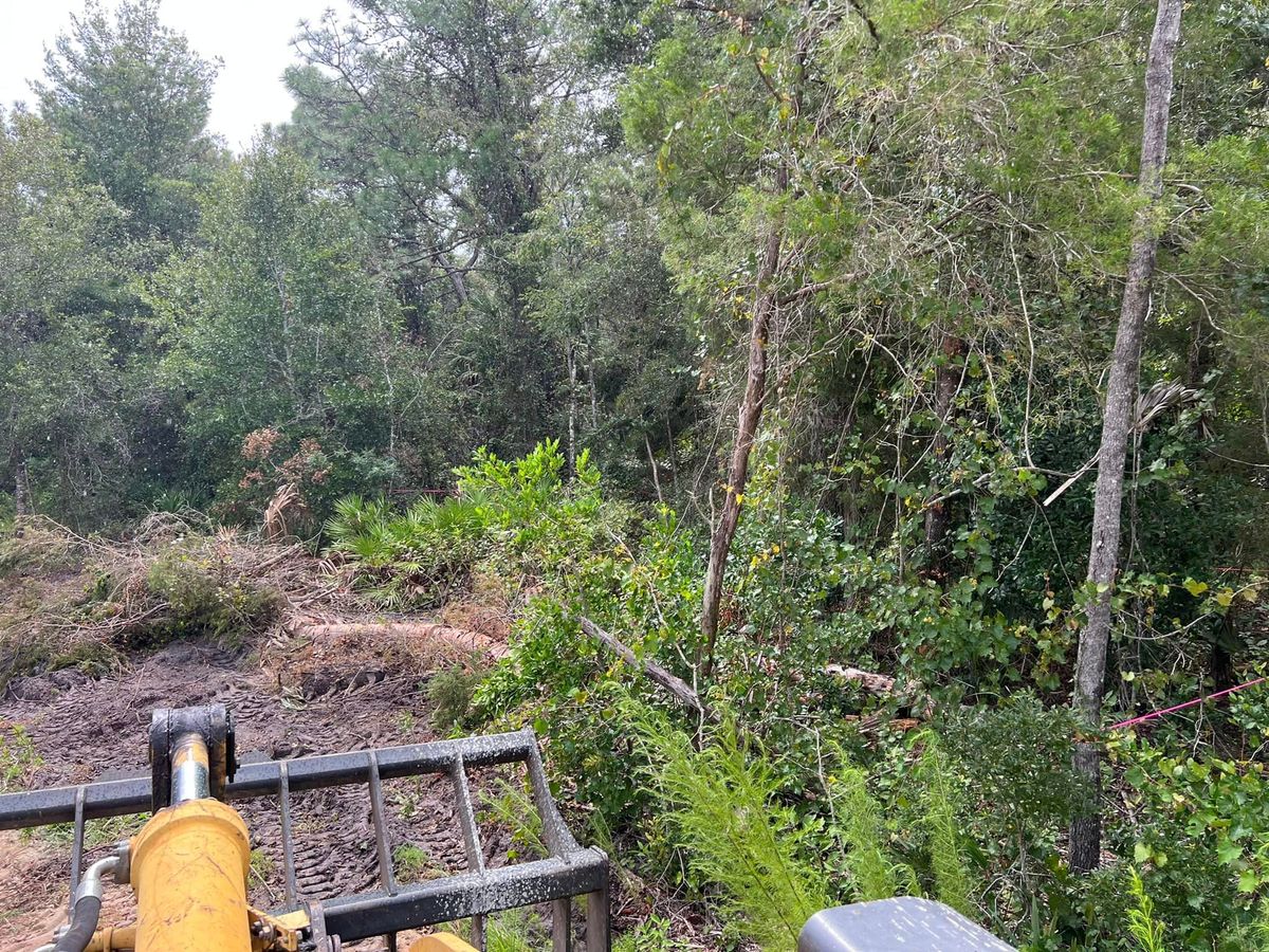 Land Clearing & Demolition for All American Excavating Inc in Brooksville,  FL