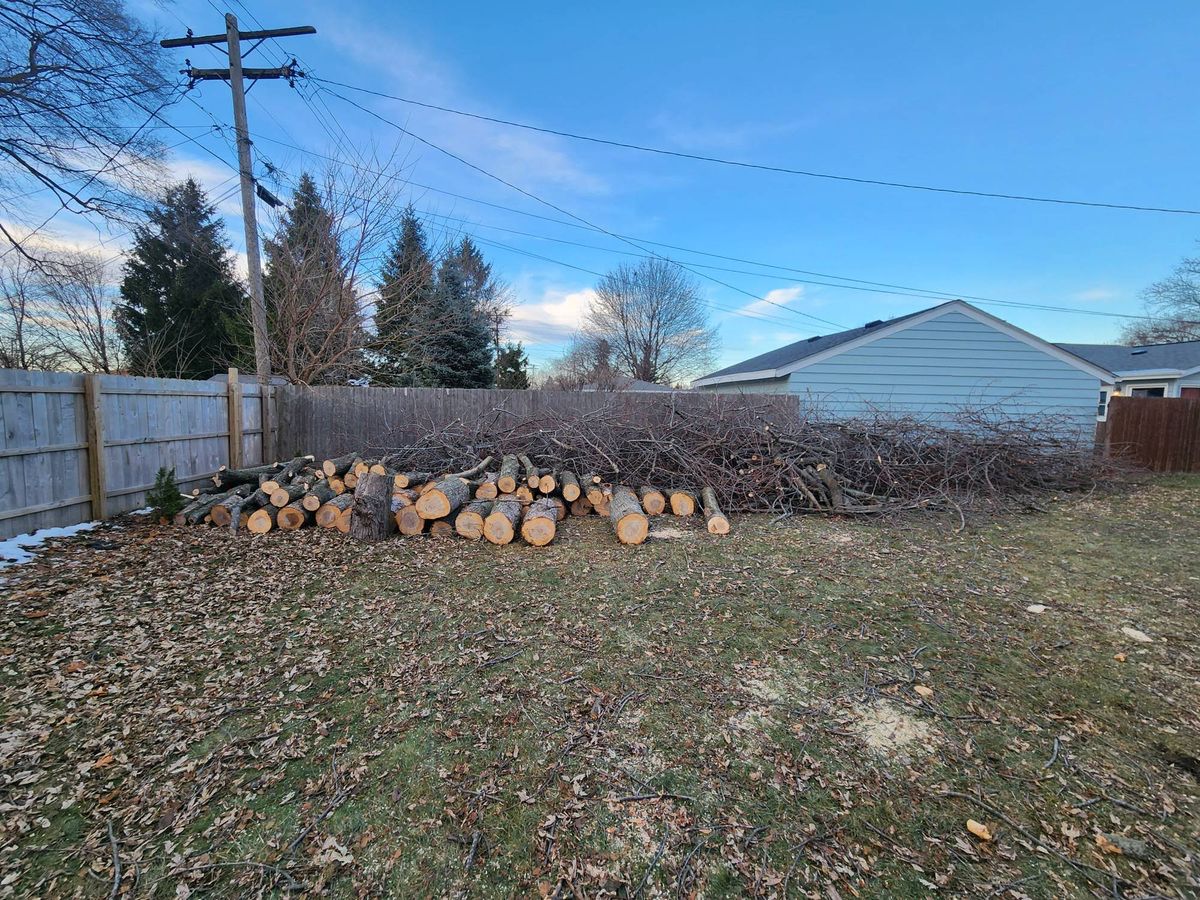 Tree Removal for Canopy Tree Service in Kenosha, WI