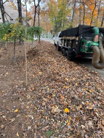 Fall Clean Up for Reiser Lawn Service in Denver, North Carolina