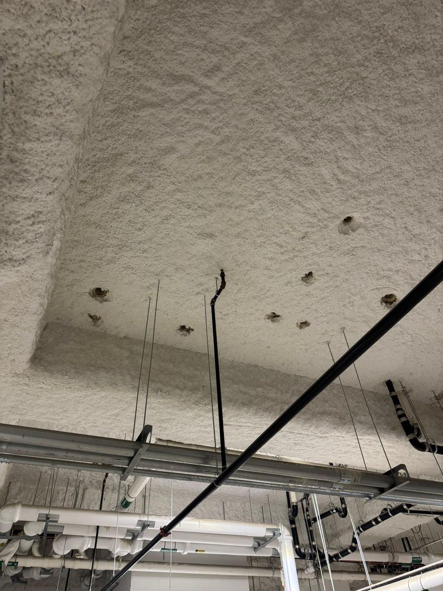 Commercial projects for G2 Custom Concrete in Dallas, TX