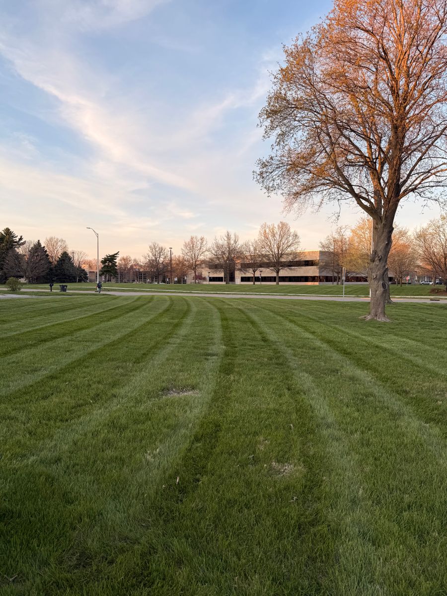 Lawn Care and Maintenance for Sneed & Co LLC in Kokomo, IN