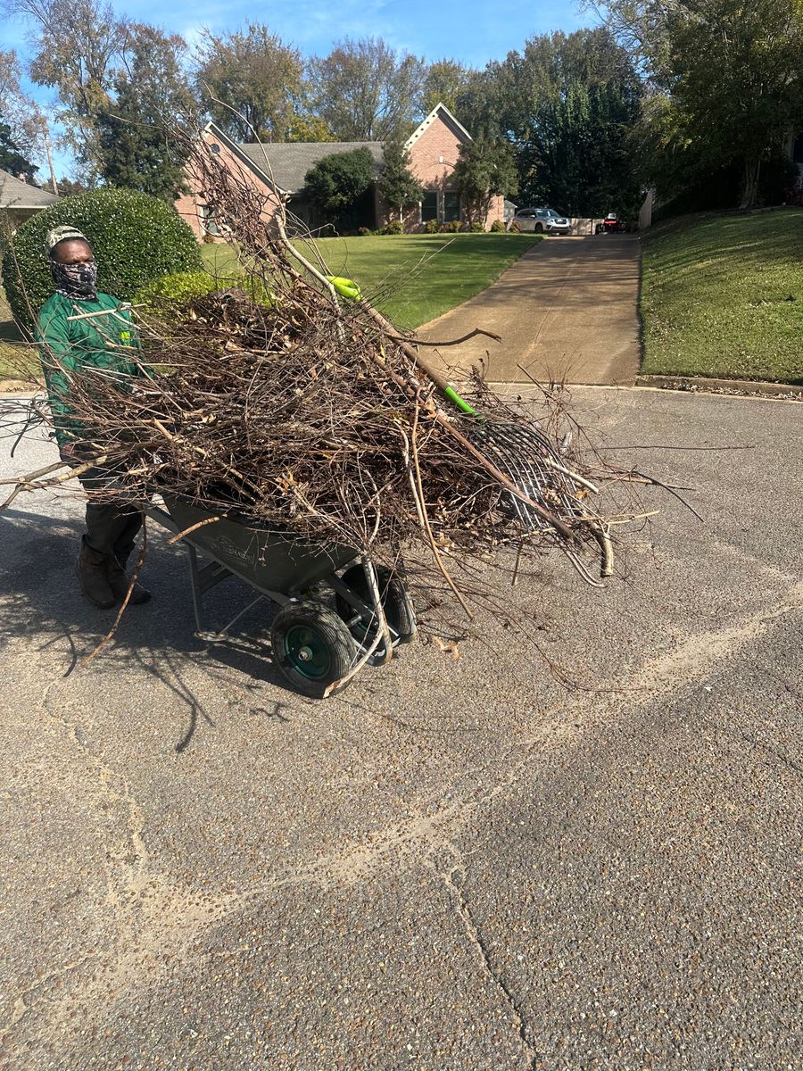 Weed Control! for Kingdom Landscaping in Memphis, TN