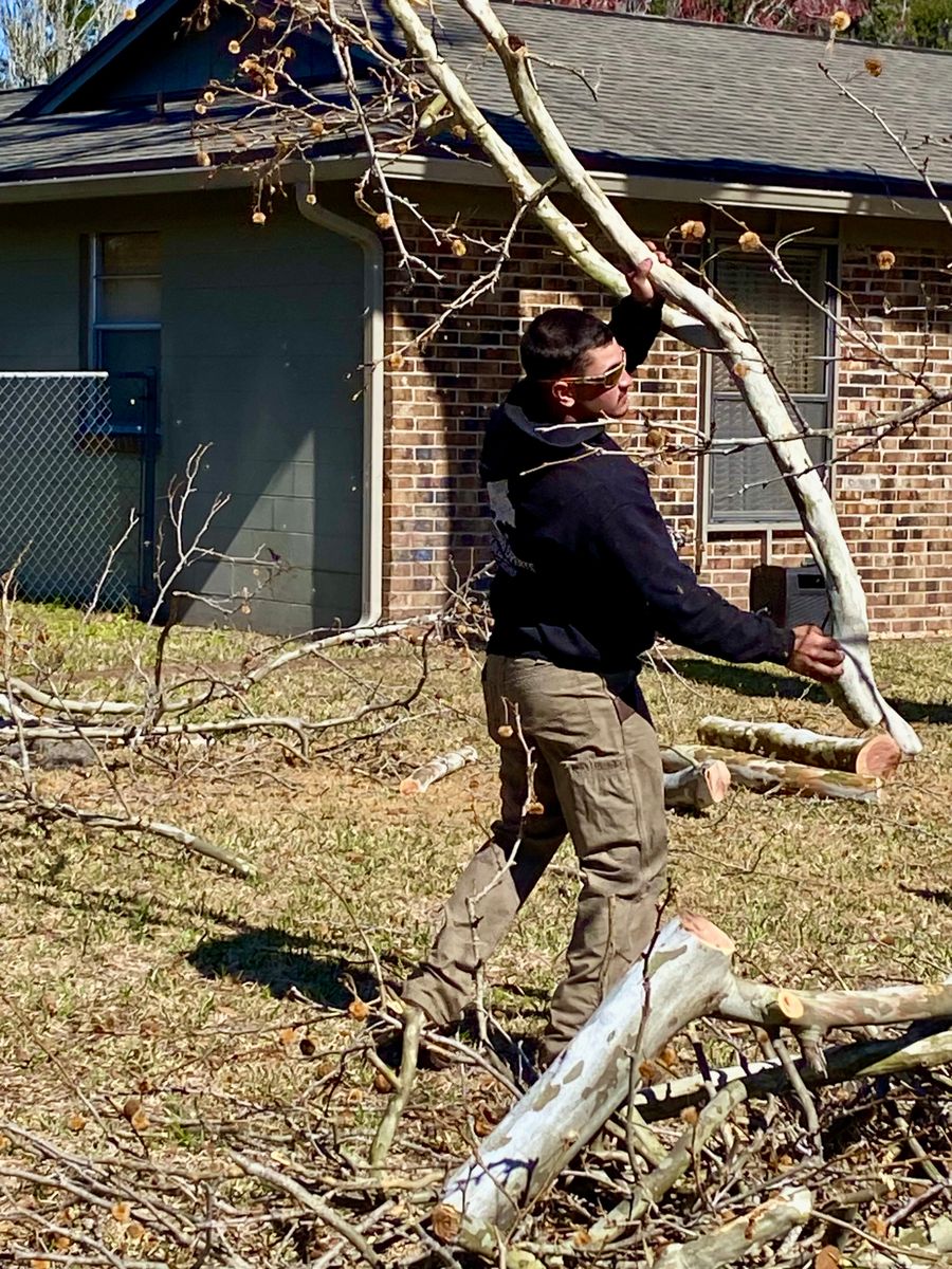 Fall Clean Up for Top Notch Tree Experts in Orange Park, FL