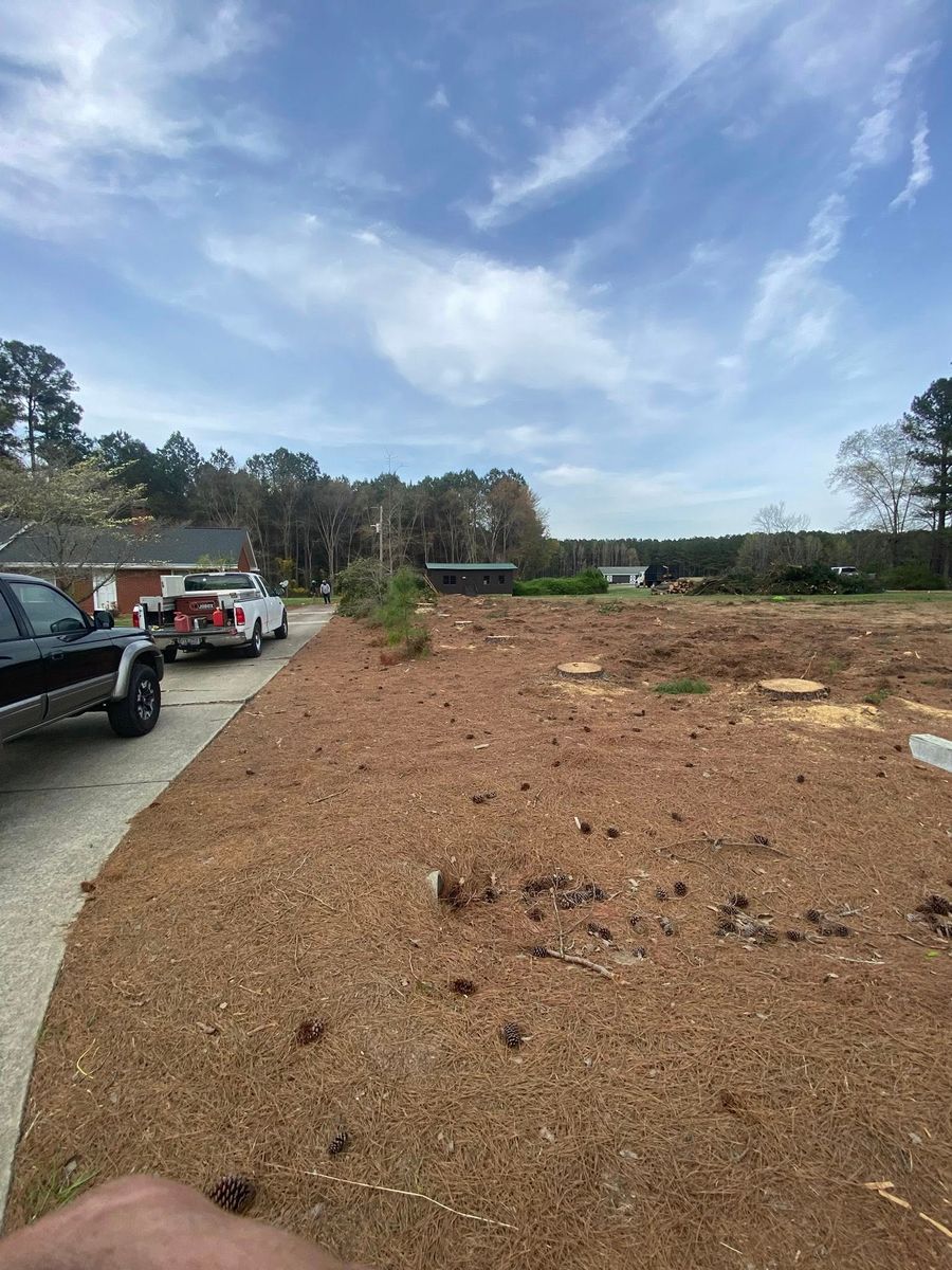 Tree Trimming for MTJ Tree Removal LLC in Zebulon, NC