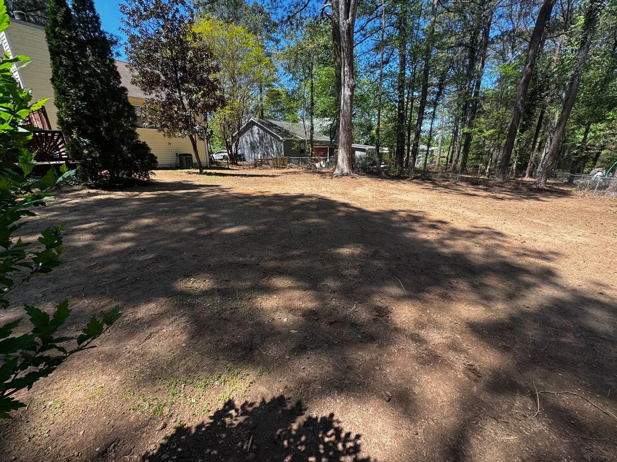 Brush Cutting & Removal for Deeply Rooted Lawns – Hydroseeding & Sod Installation Services in Winder, GA
