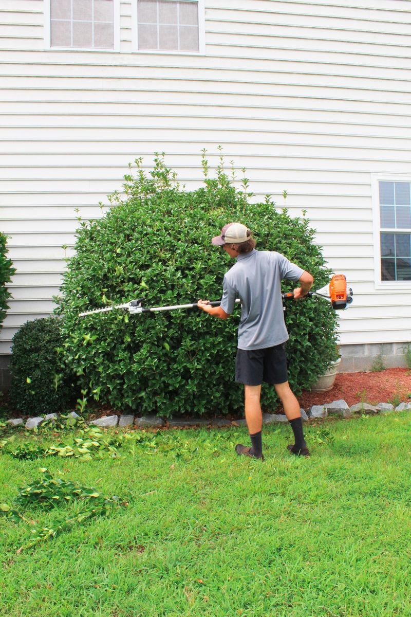 Bush & Tree Trimming for Quinten's Landscaping and Exterior Services LLC in Chesapeake, VA